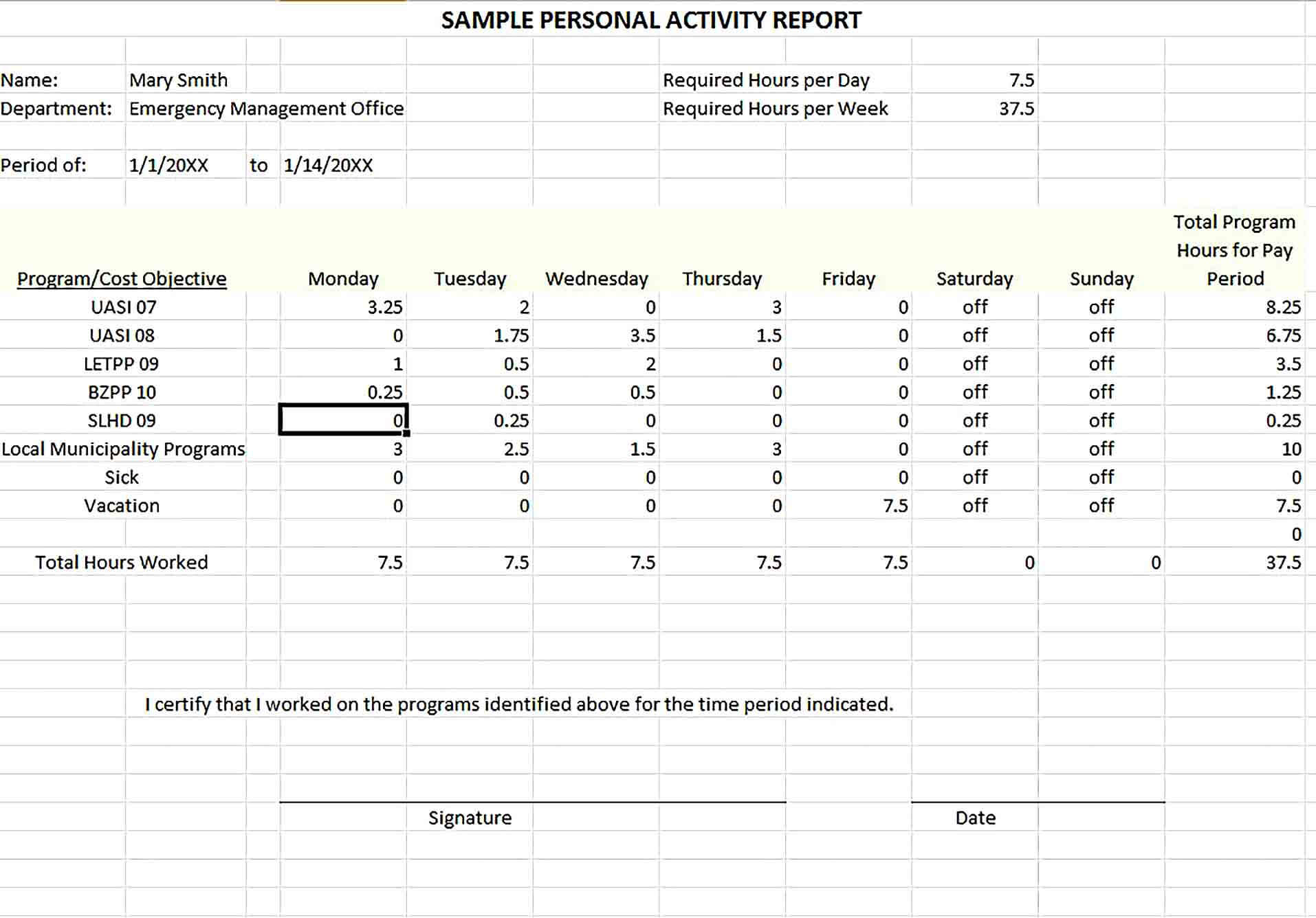 Sample Activity Report Template Excel
