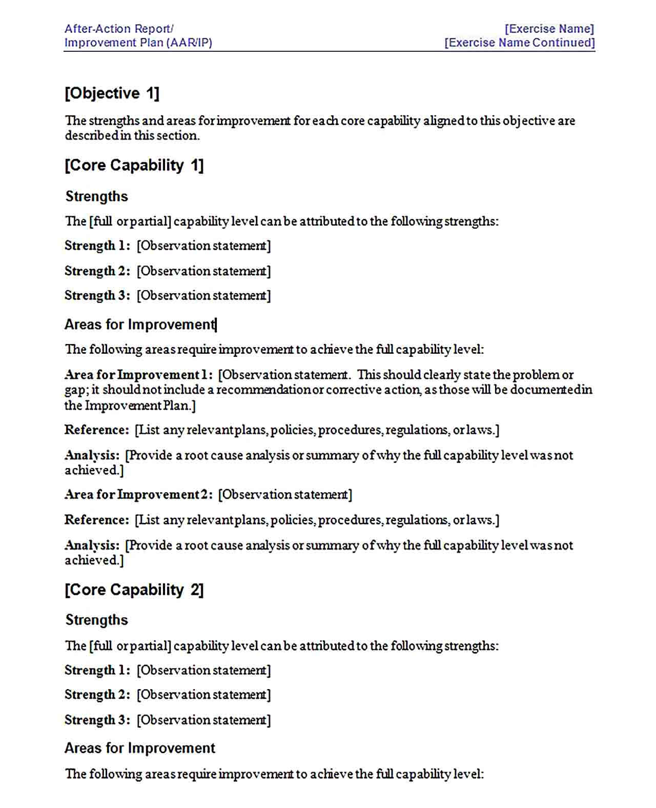 Sample After Action Report Improvement Plan Template 1