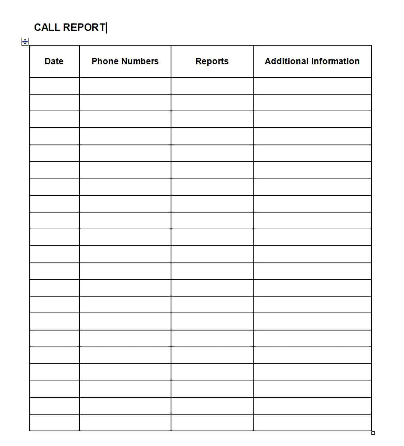 Sample Call Report Template