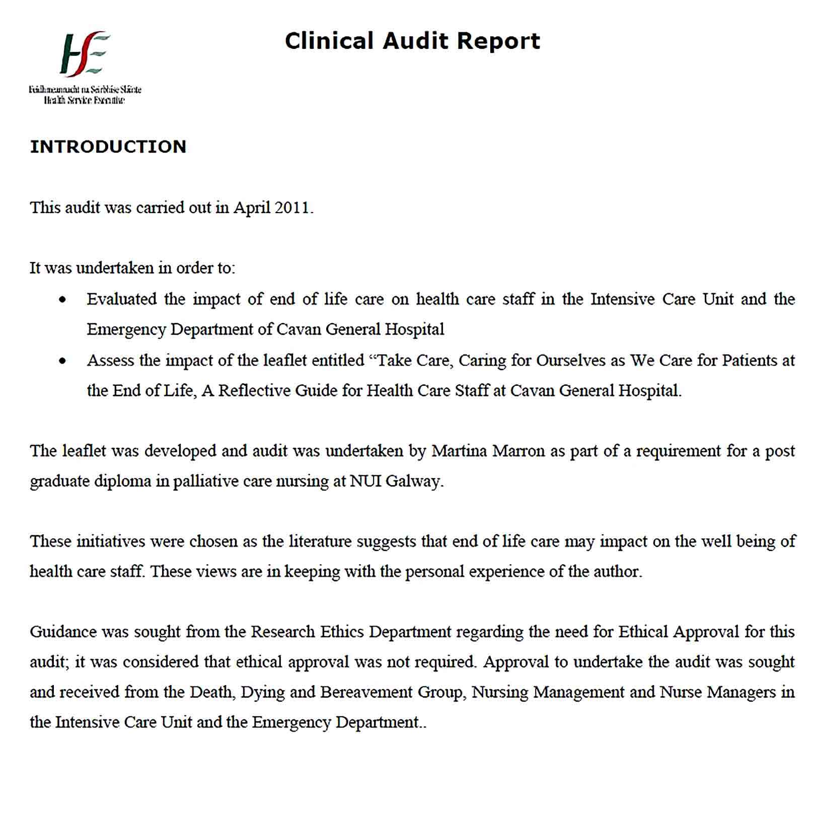Sample End of Life Clinical Audit Report Template