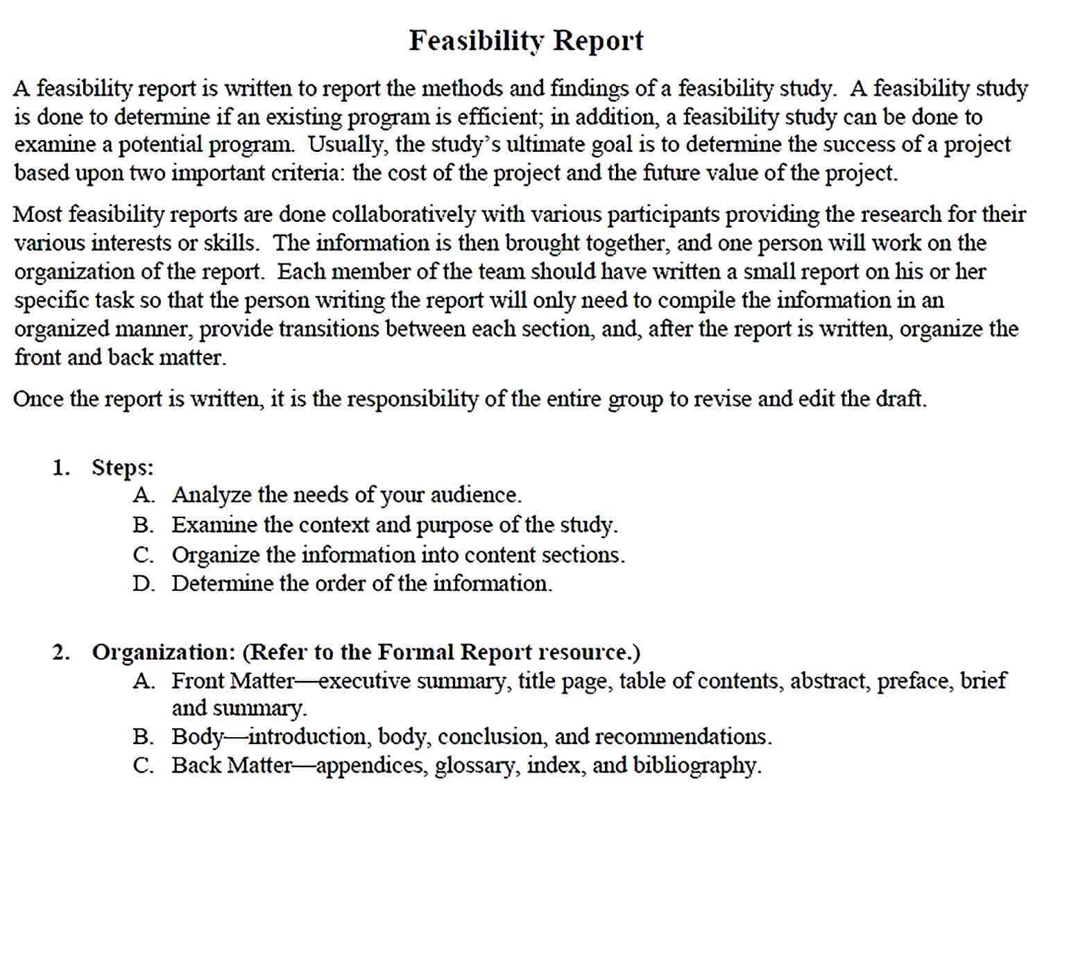 Sample Feasibility Report Template
