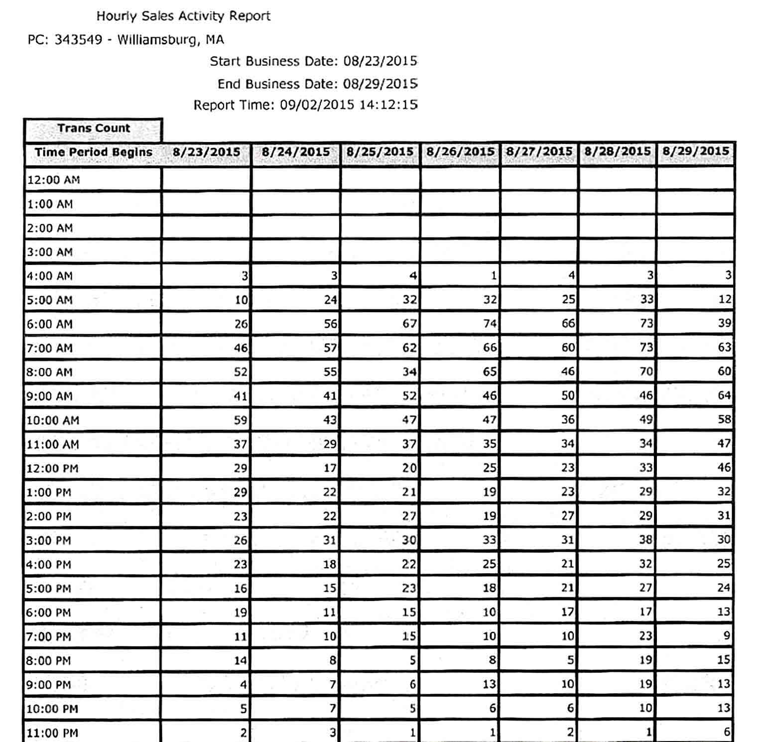 Sample Hourly Sales Activity Report PDF Template