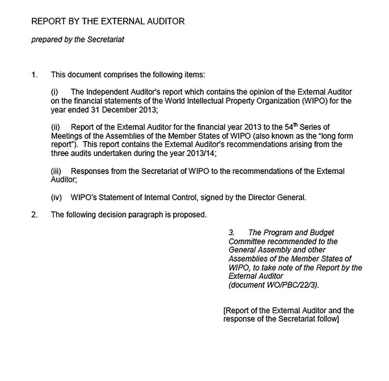 Sample WIPO External Audit Report Template