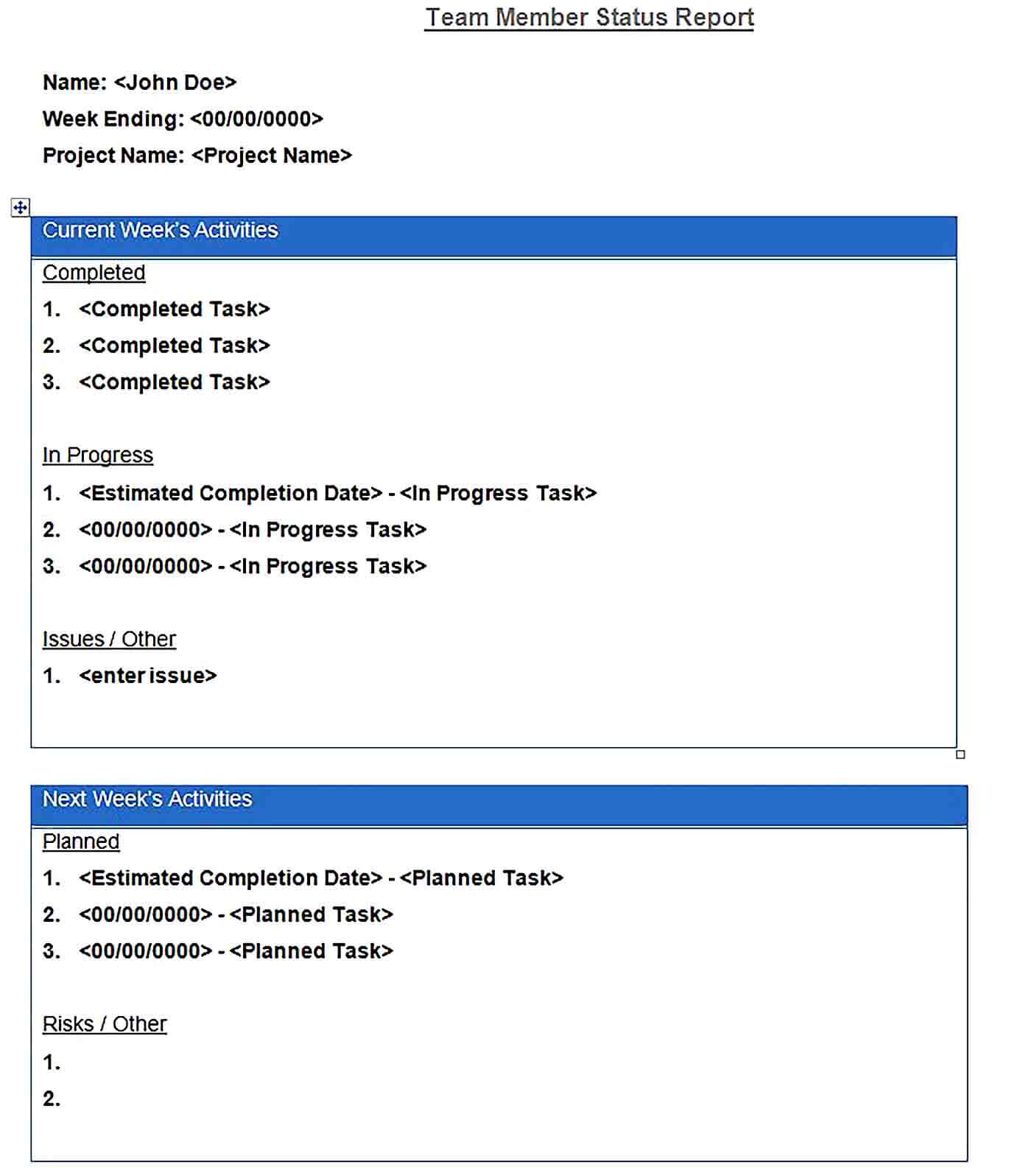 Sample daily report template word