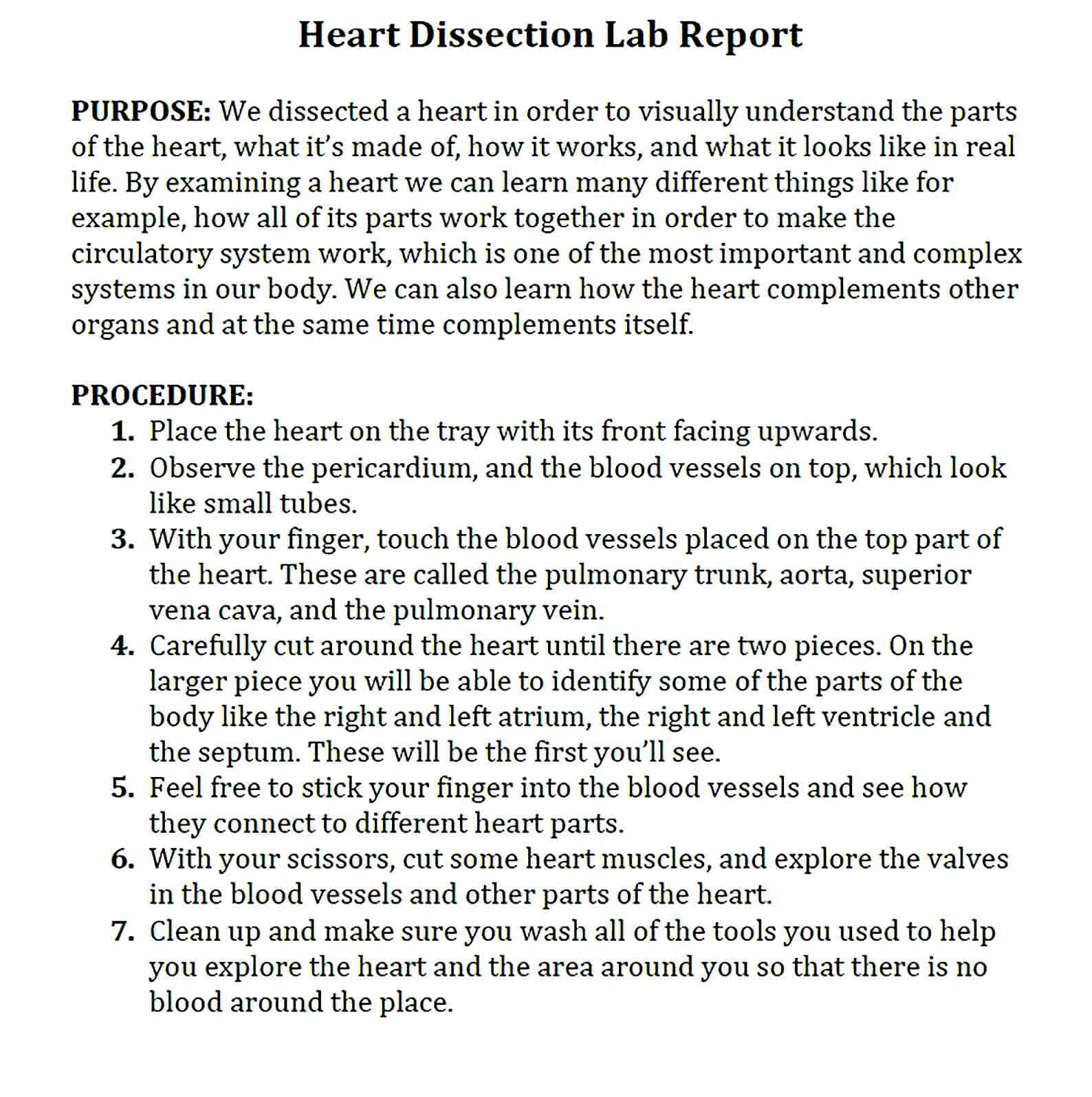 Sample dissection lab report template
