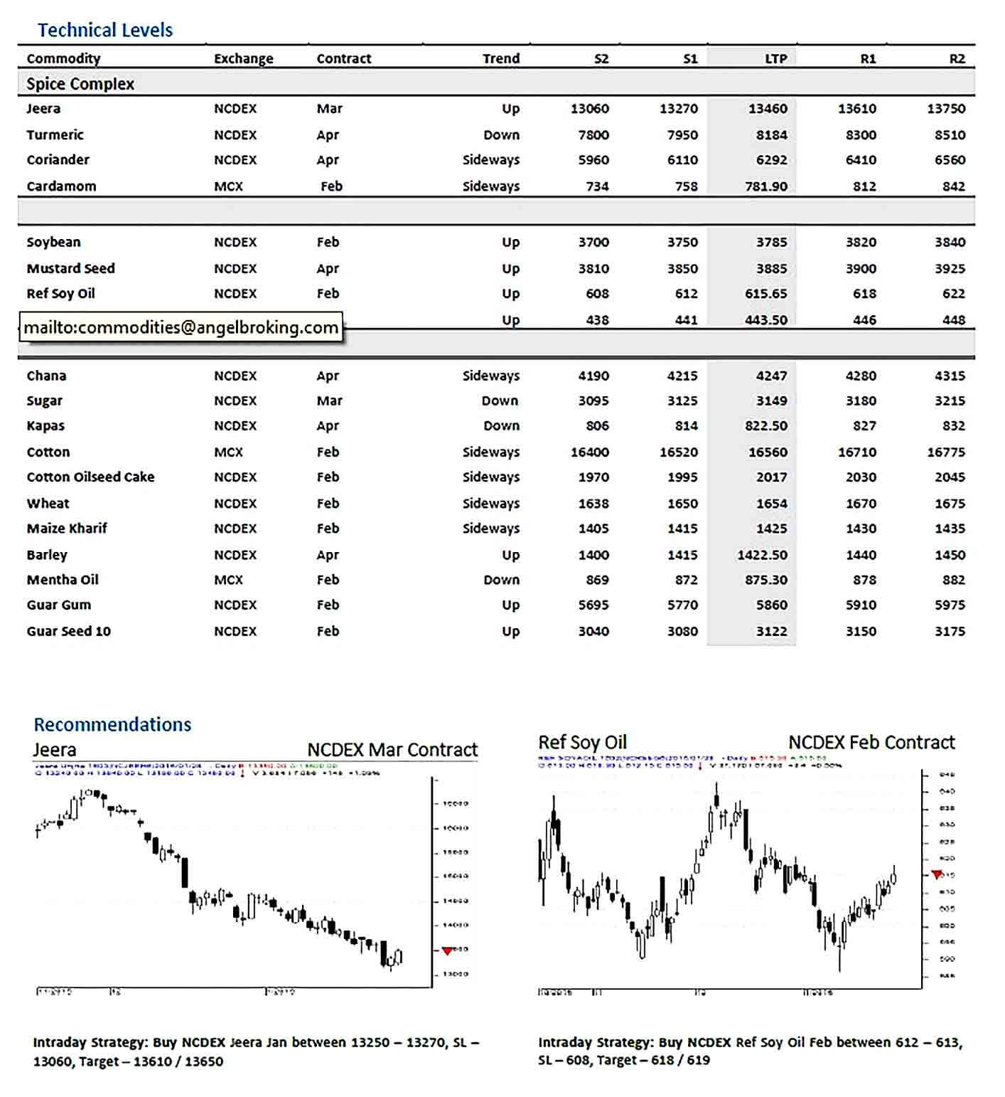 Sample Angel Commodity Technical Report