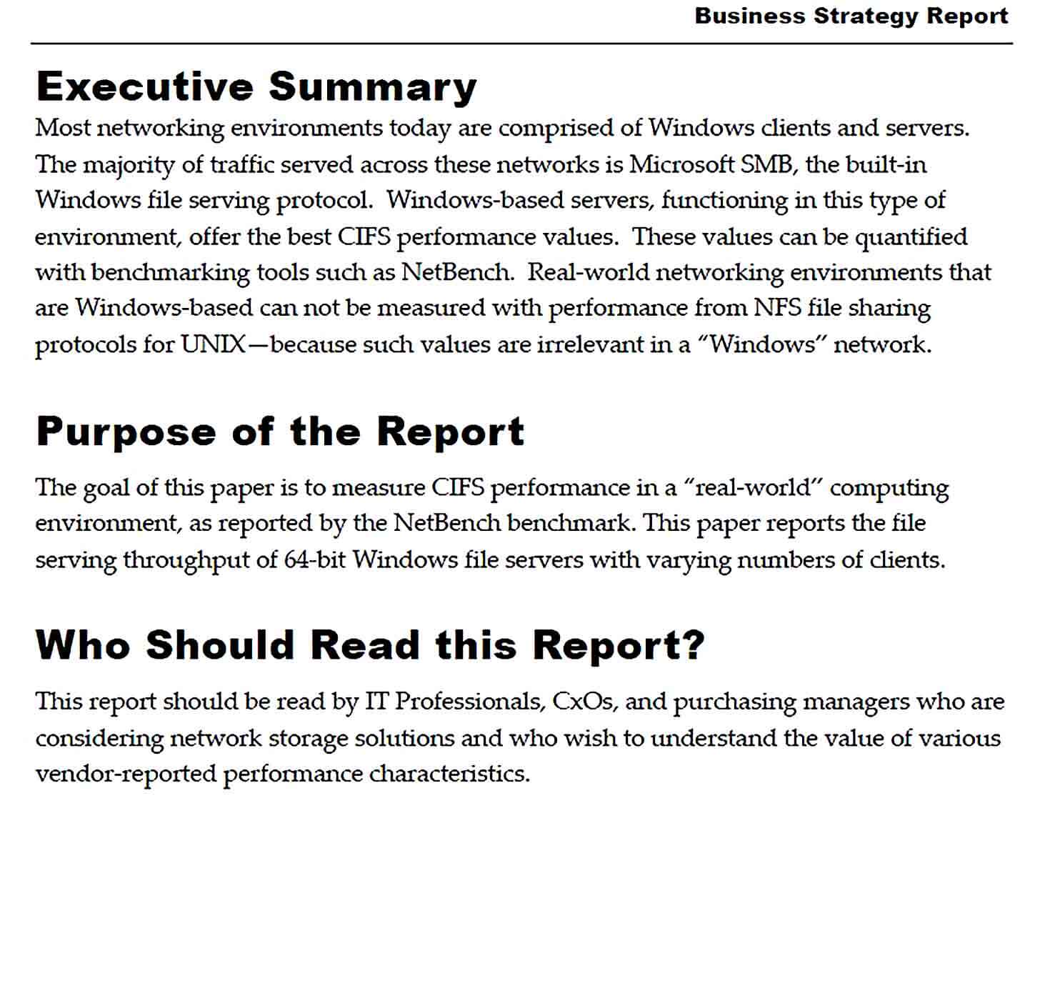 Sample Business Strategy Report Template