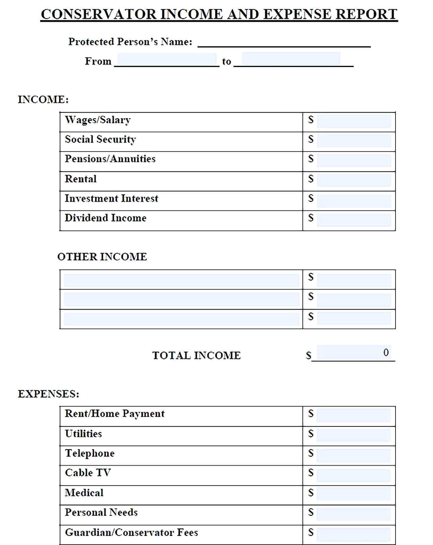 Sample Conservator Income And Expense Report