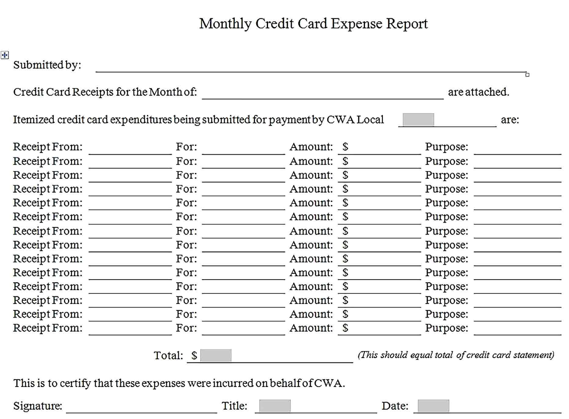 Sample Credit Card Expense Report Template