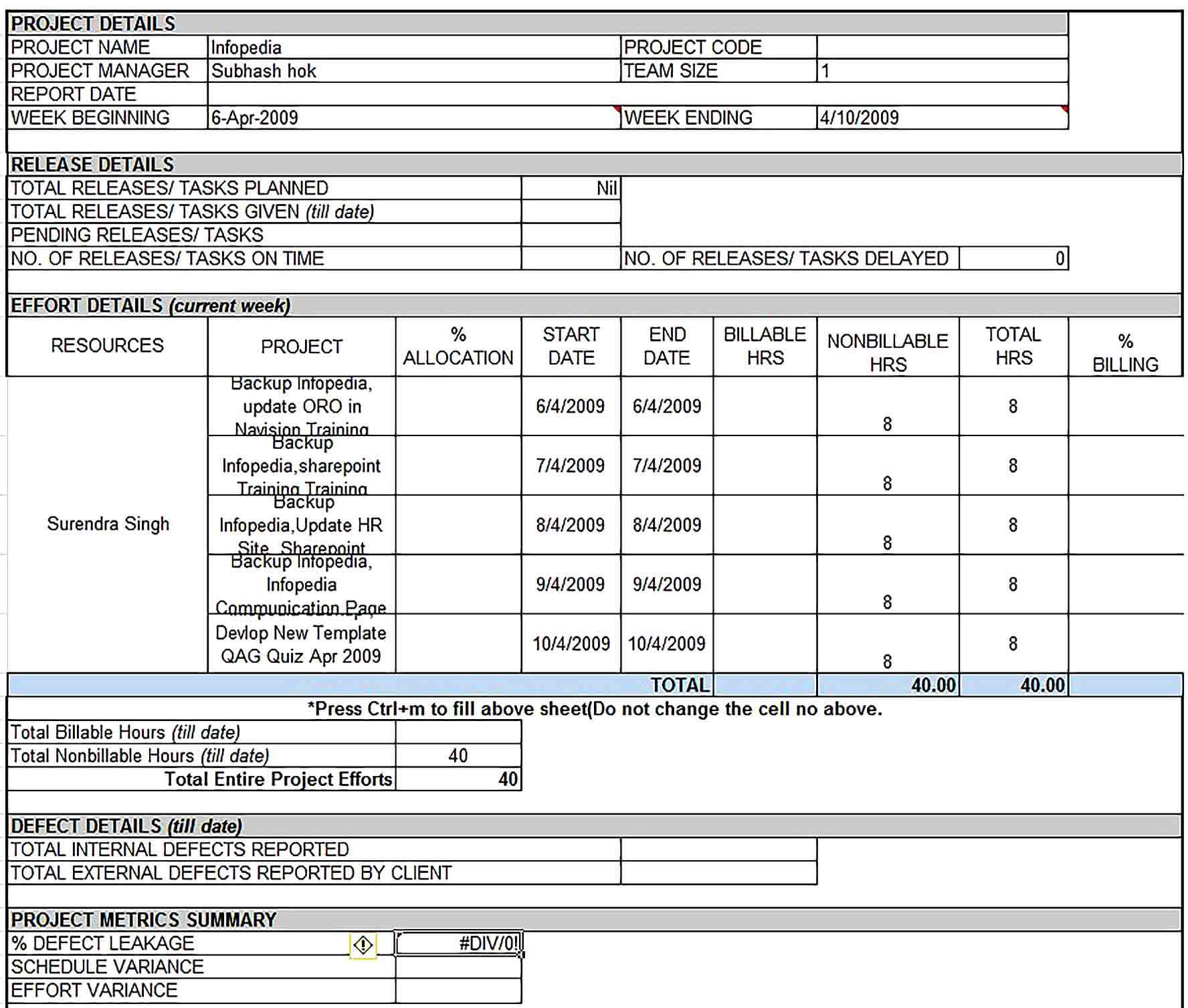 Sample Printbale Weekly Status Report Template Excel