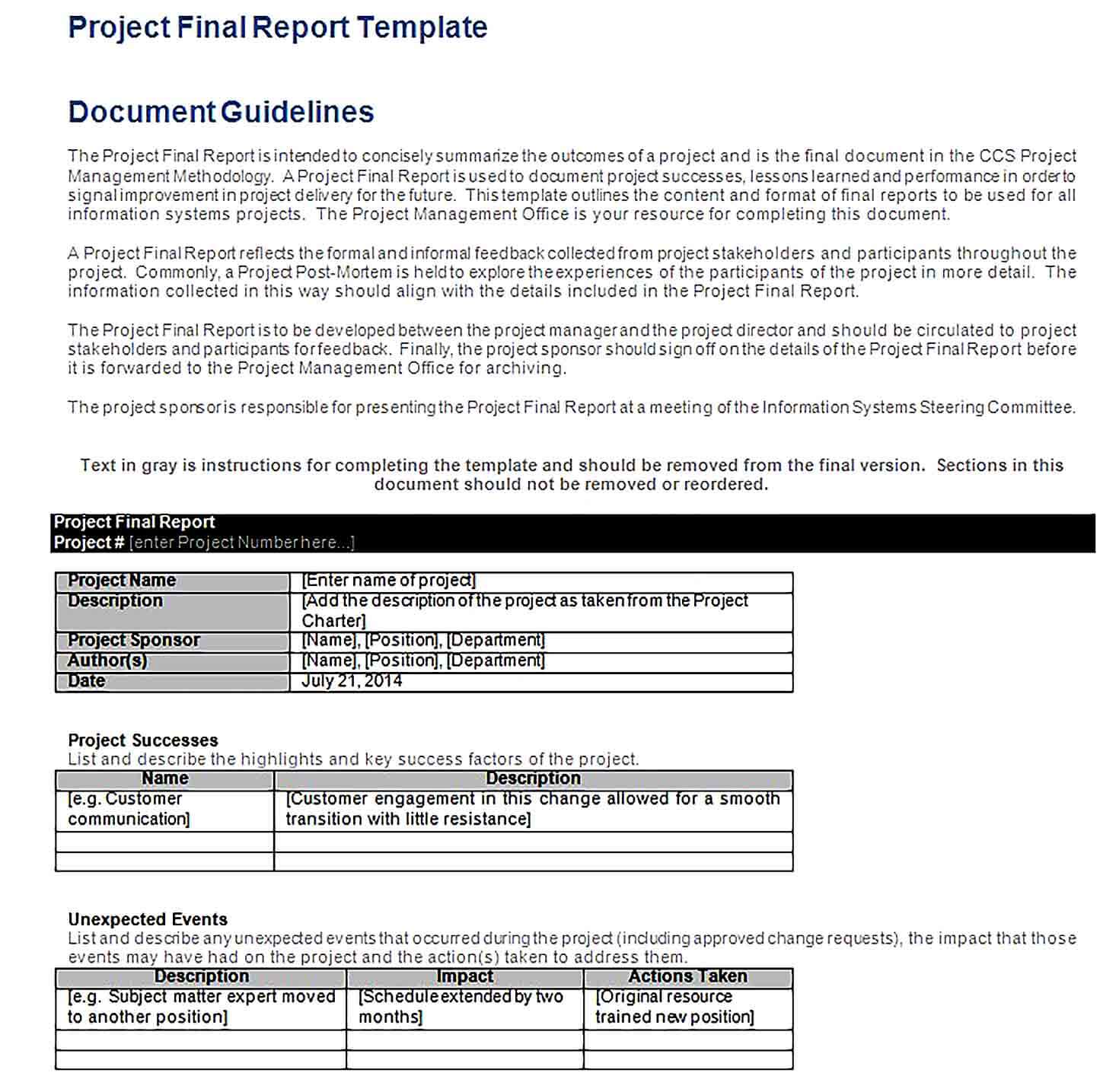 Sample Project Final Report Template