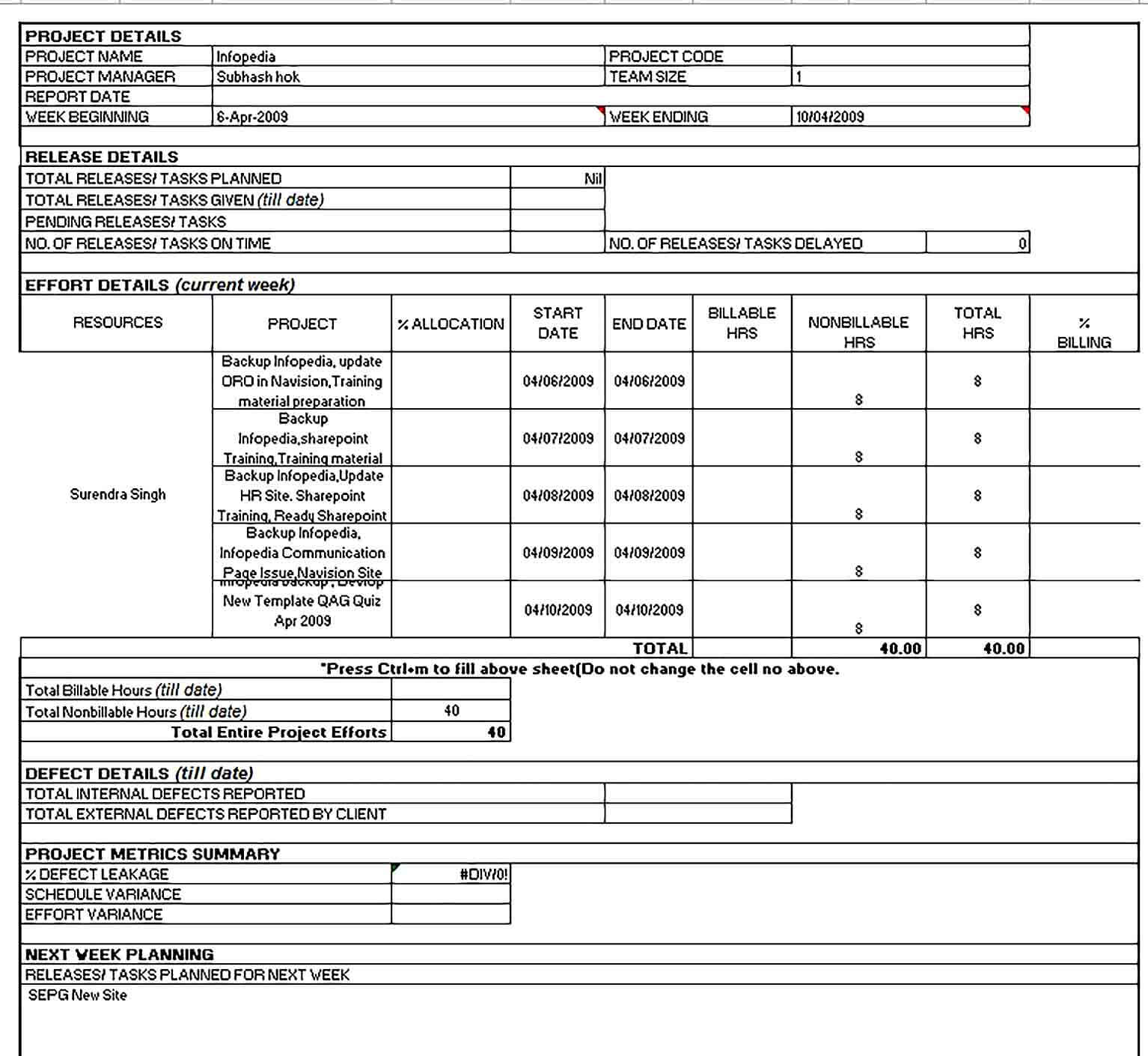 Sample Weekly Project Status Report Excel Format Template 1