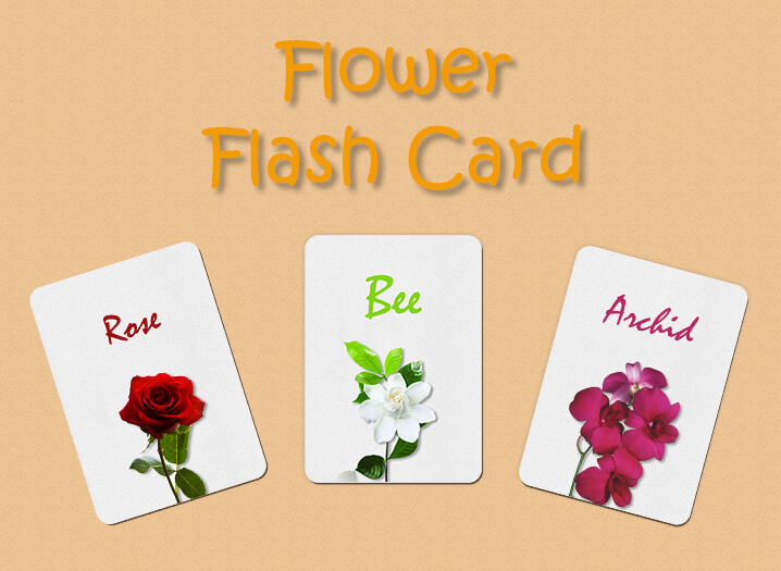 Flash Card customizable psd design templates