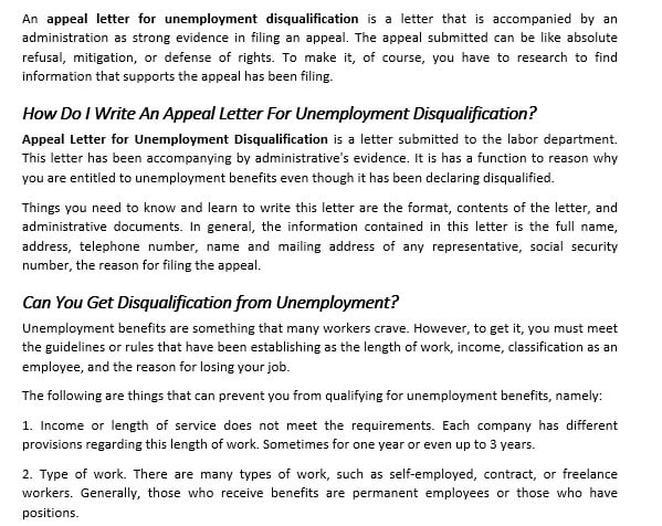 Artikel 13 Appeal Letter for Unemployment Disqualification